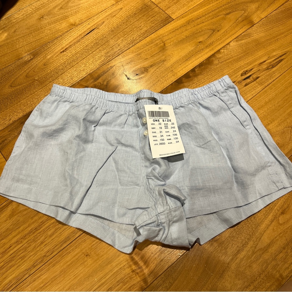Brandy Melville Light Blue Linen Shorts